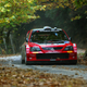 Illustration for article titled Would You Rally A Mitsubishi Evo With Your Mom Navigating?